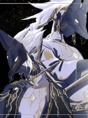 女士中医营养精油spa诱导